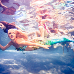 Thumbnail image for last night I swam with a mermaid