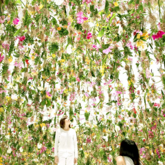 Thumbnail image for fantastical flower rooms