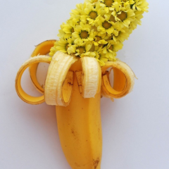 Thumbnail image for worth 1000 words: banana flower power