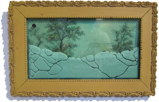 Frameicarium Ant Art Colonies for your wall by Hugh Hayden