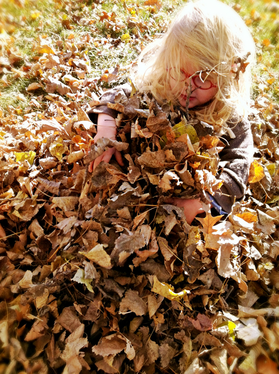 Thanksgiving Leaf Pile Sunny Day with my Preschool Girl