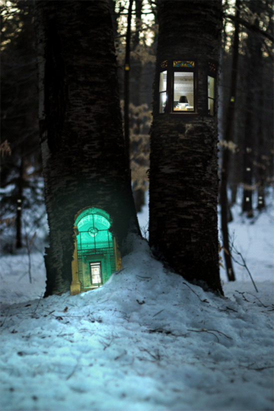 Fairy Houses by Daniel Barreto