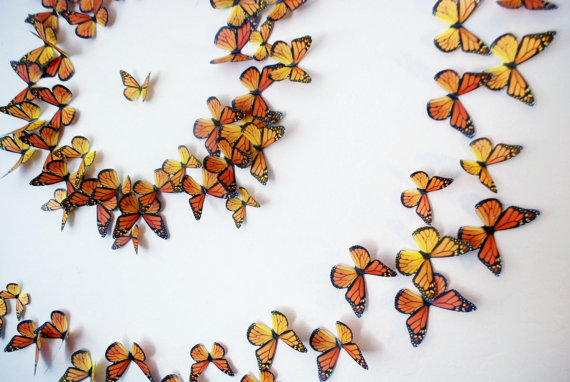 Free Milkweed Seeds for Monarch Butterflies - 3D Butterfly Wall Art - Heidi's Hubbub | Small for Big