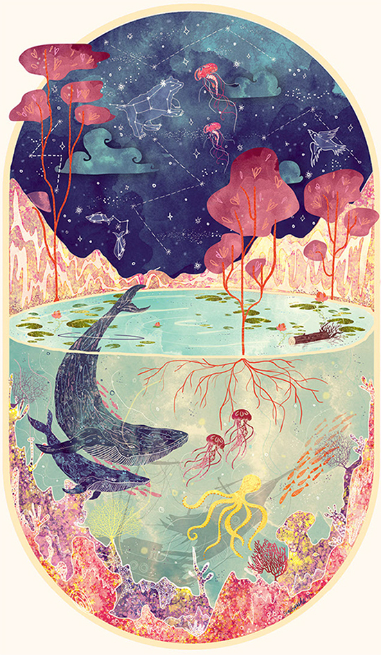 Nature Illustrations - Svabhu Kohl - Whales and Constellations Artwork | Small for Big