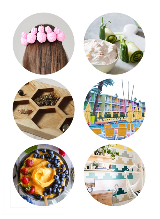 This Week's top links online include Pineapple crown diy, cucumber snails for kids, beehive jewelry tray, vegan ice cream, Alt Summit New Location, and Kids Room Inspirations.
