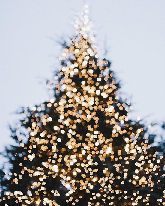 Christmas Tree Lights - Happy Holidays - Merry Christmas | Small for Big